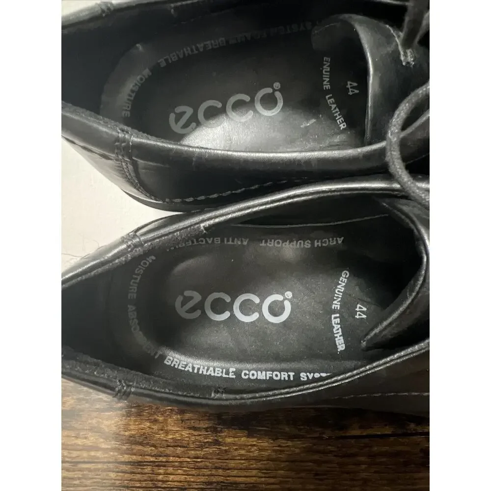 Ecco this high